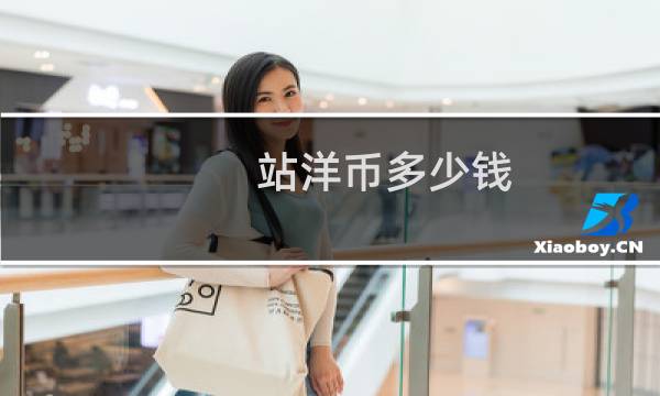 站洋币多少钱