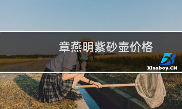 章燕明紫砂壶价格