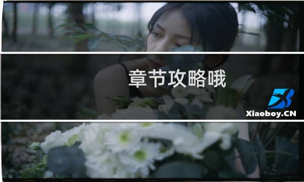 章节攻略哦