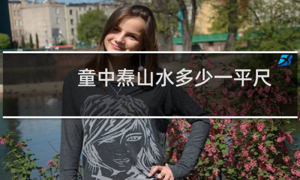 童中焘山水多少一平尺