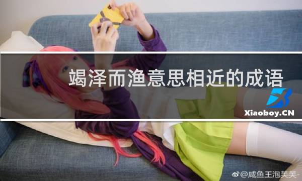 竭泽而渔意思相近的成语