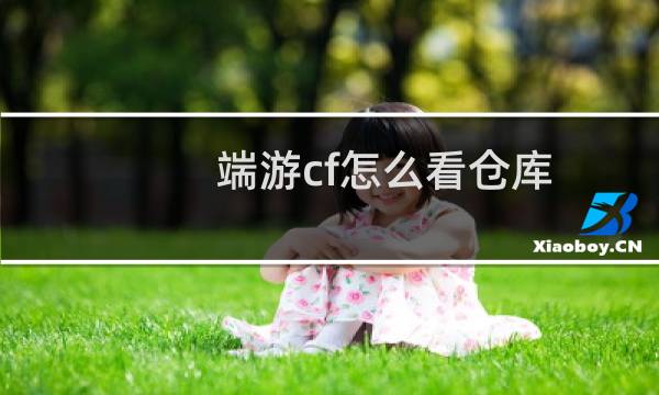 端游cf怎么看仓库