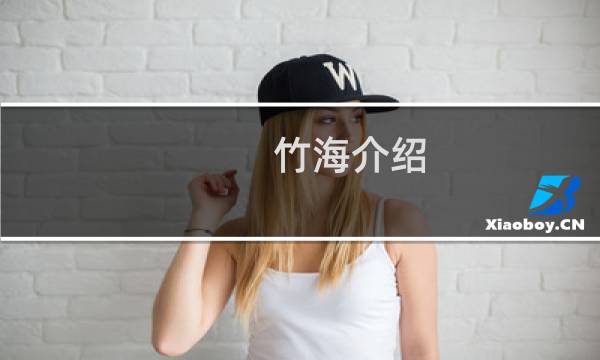 竹海介绍