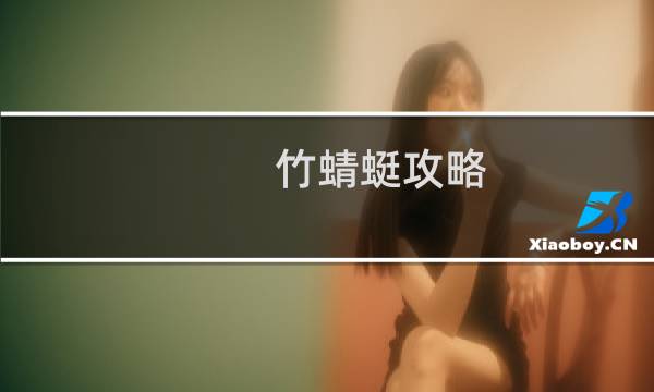 竹蜻蜓攻略