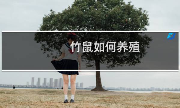 竹鼠如何养殖