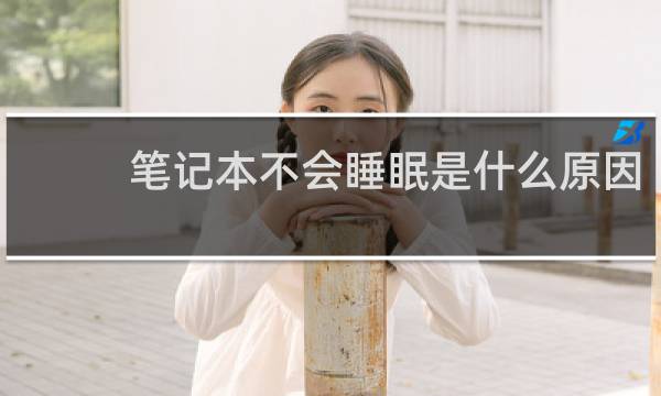 笔记本不会睡眠是什么原因