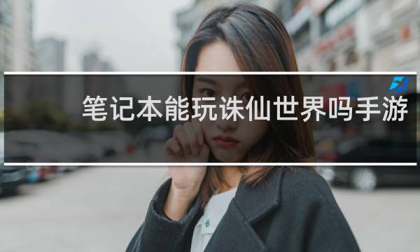 笔记本能玩诛仙世界吗手游