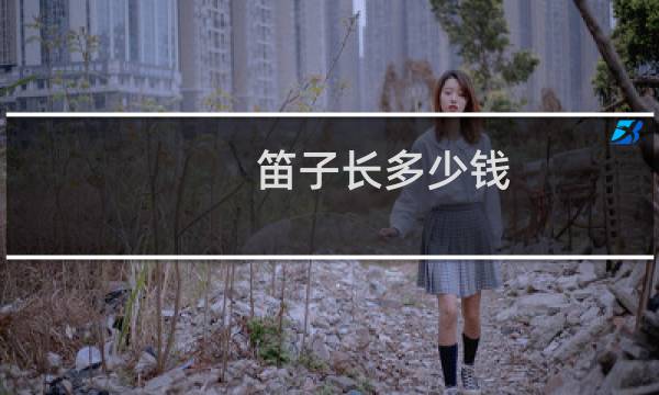 笛子长多少钱