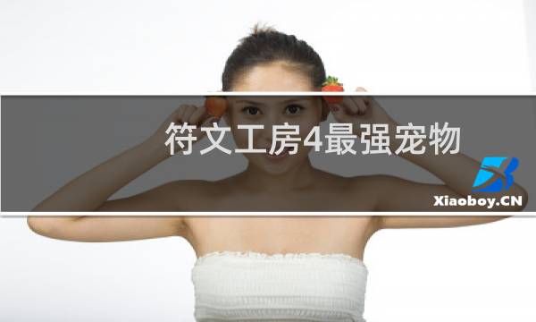 符文工房4最强宠物