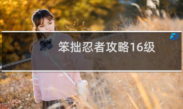 笨拙忍者攻略16级