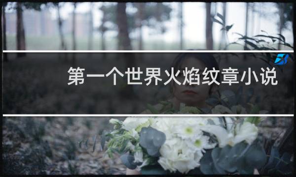 第一个世界火焰纹章小说