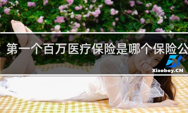 第一个百万医疗保险是哪个保险公司的