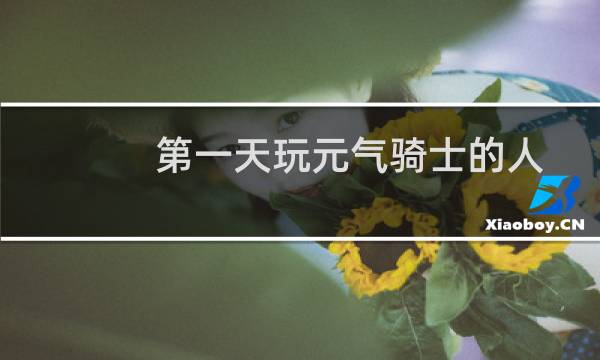 第一天玩元气骑士的人