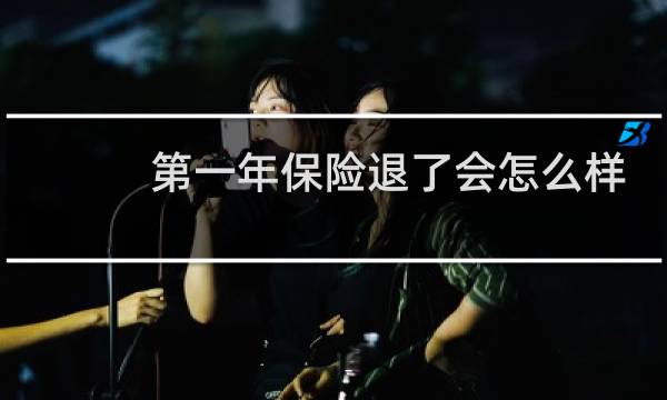 第一年保险退了会怎么样