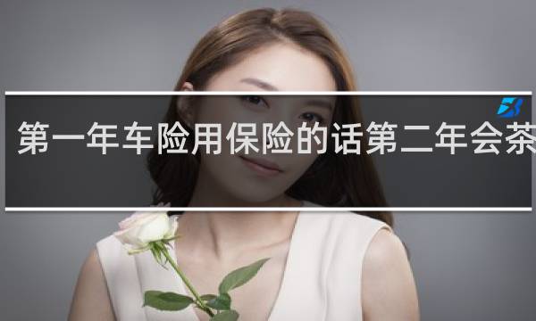 第一年车险用保险的话第二年会茶多少