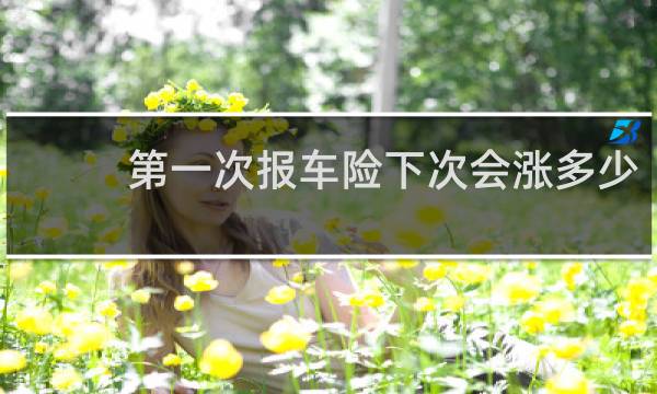 第一次报车险下次会涨多少