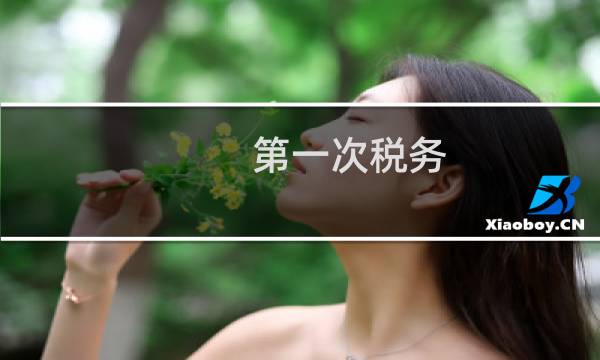 第一次税务