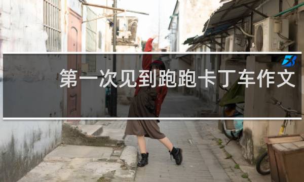 第一次见到跑跑卡丁车作文