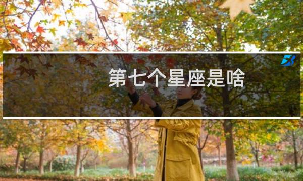 第七个星座是啥