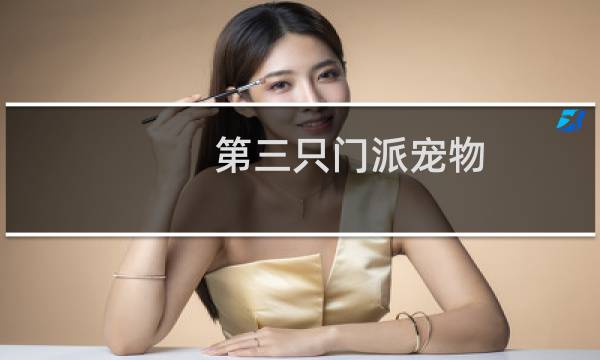 第三只门派宠物