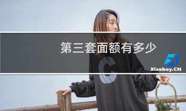 第三套面额有多少