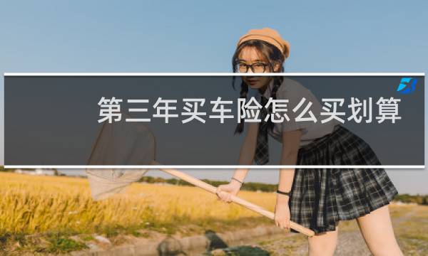第三年买车险怎么买划算