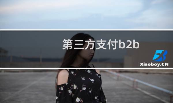 第三方支付b2b