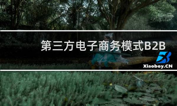 第三方电子商务模式B2B
