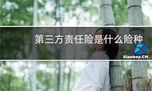 第三方责任险是什么险种