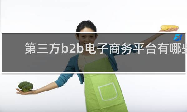 第三方b2b电子商务平台有哪些