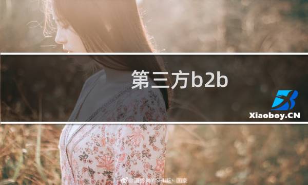 第三方b2b