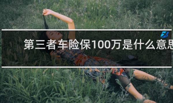 第三者车险保100万是什么意思
