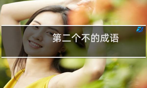 第二个不的成语