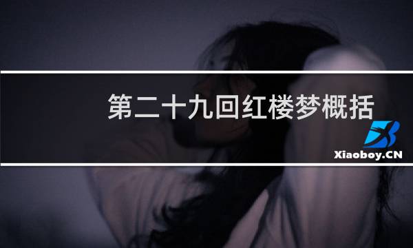 第二十九回红楼梦概括