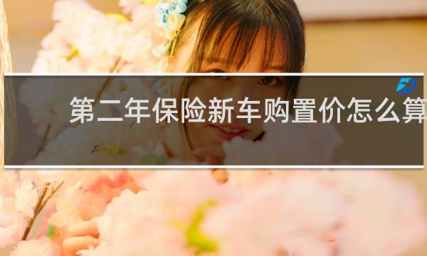 第二年保险新车购置价怎么算