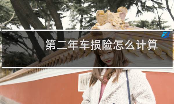 第二年车损险怎么计算