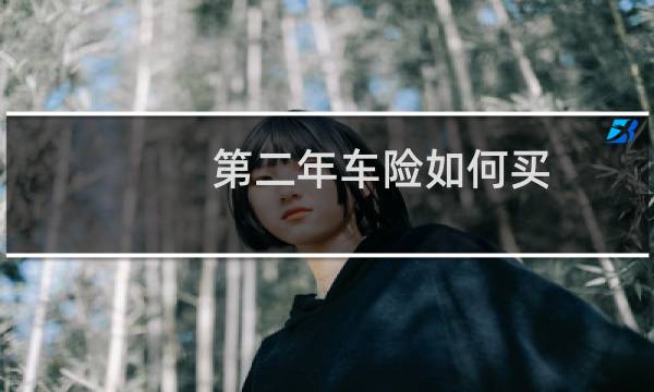 第二年车险如何买