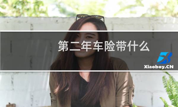 第二年车险带什么