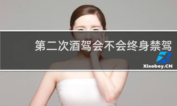 第二次酒驾会不会终身禁驾