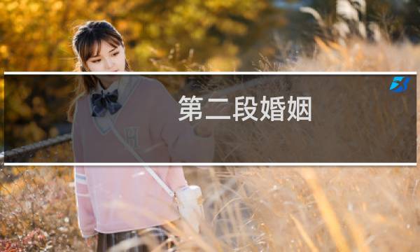第二段婚姻