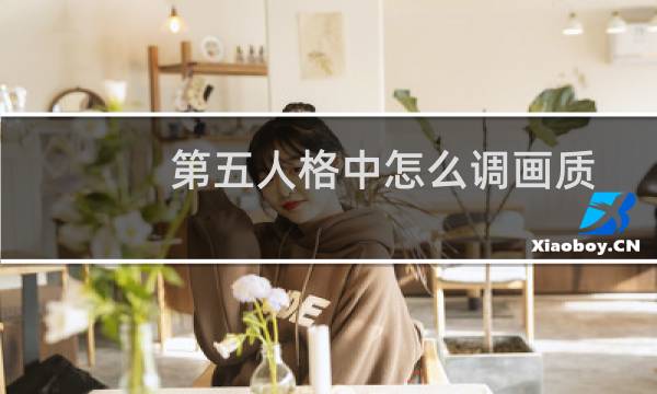 第五人格中怎么调画质