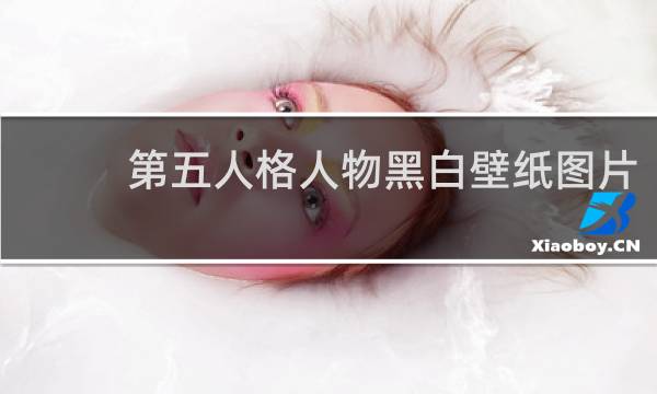 第五人格人物黑白壁纸图片