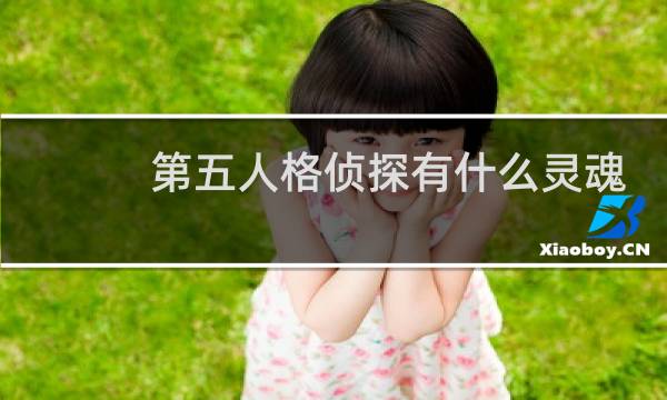 第五人格侦探有什么灵魂
