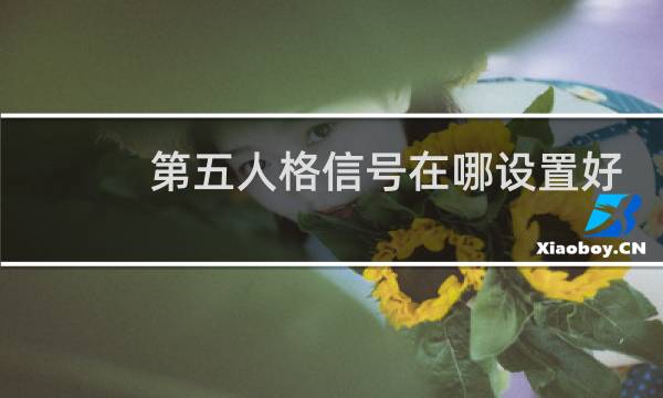 第五人格信号在哪设置好