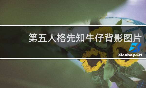 第五人格先知牛仔背影图片