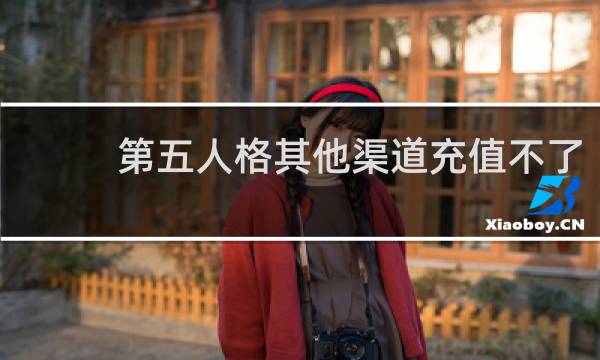 第五人格其他渠道充值不了