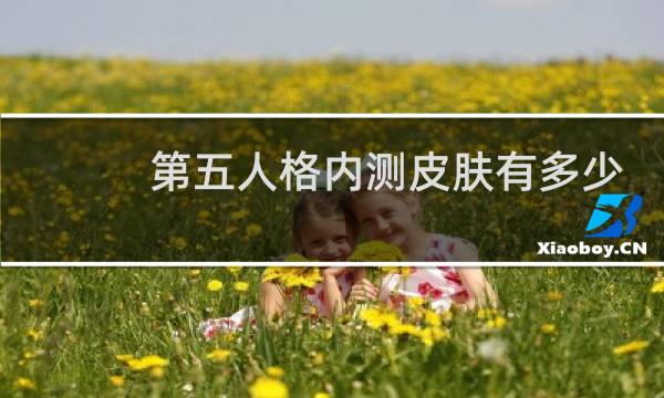 第五人格内测皮肤有多少