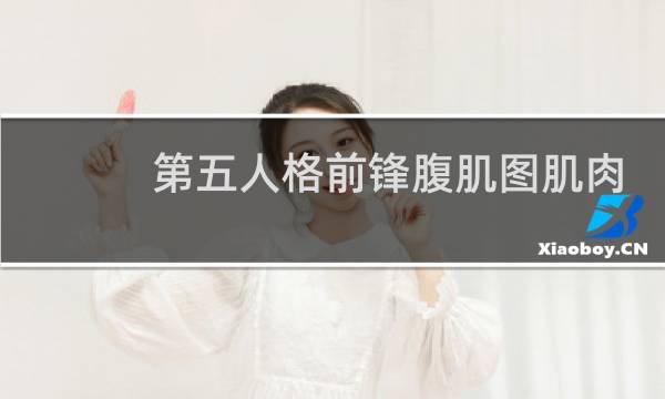 第五人格前锋腹肌图肌肉