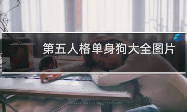 第五人格单身狗大全图片