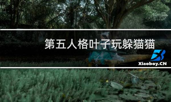 第五人格叶子玩躲猫猫